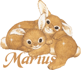 lapins_marius.gif