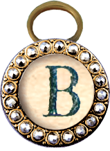 ldavi-snips-letterb.png