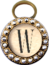 ldavi-snips-letterw.png