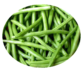 legume-2.gif