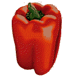 legume-88.gif