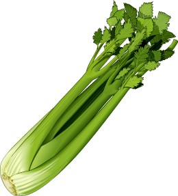 legume-9.png