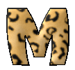 leopard-4599994-13.gif