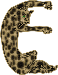 leopard-5454054945954-5.png