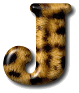 leopard3532-10.gif