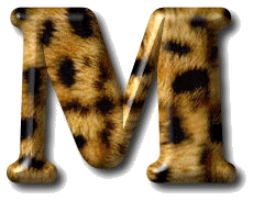 leopard3532-13.gif