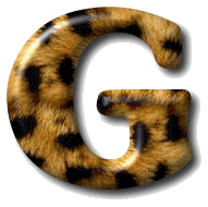 leopard3532-7.gif