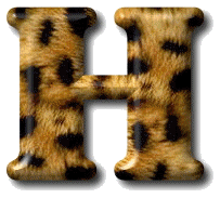 leopard3532-8.gif