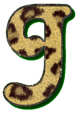 leopard49900990-10.png