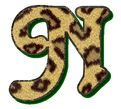 leopard49900990-14.png