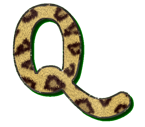 leopard49900990-17.png