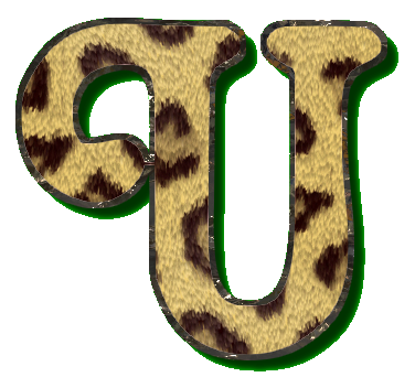 leopard49900990-21.png