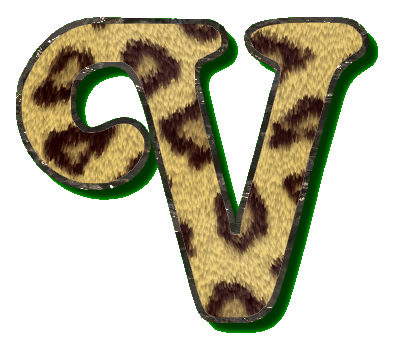 leopard49900990-22.png