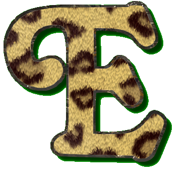 leopard49900990-5.png