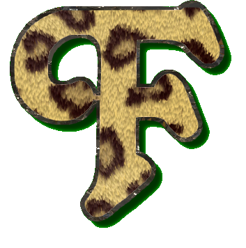 leopard49900990-6.png