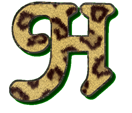 leopard49900990-8.png