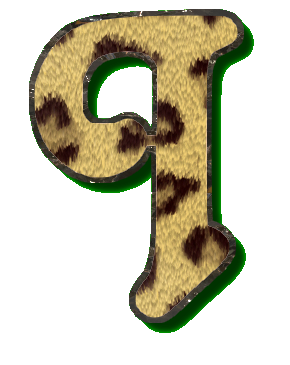 leopard49900990-9.png