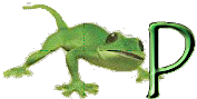 lezard-87421-16.gif