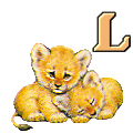 lion-430549-12.gif