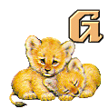 lion-430549-7.gif