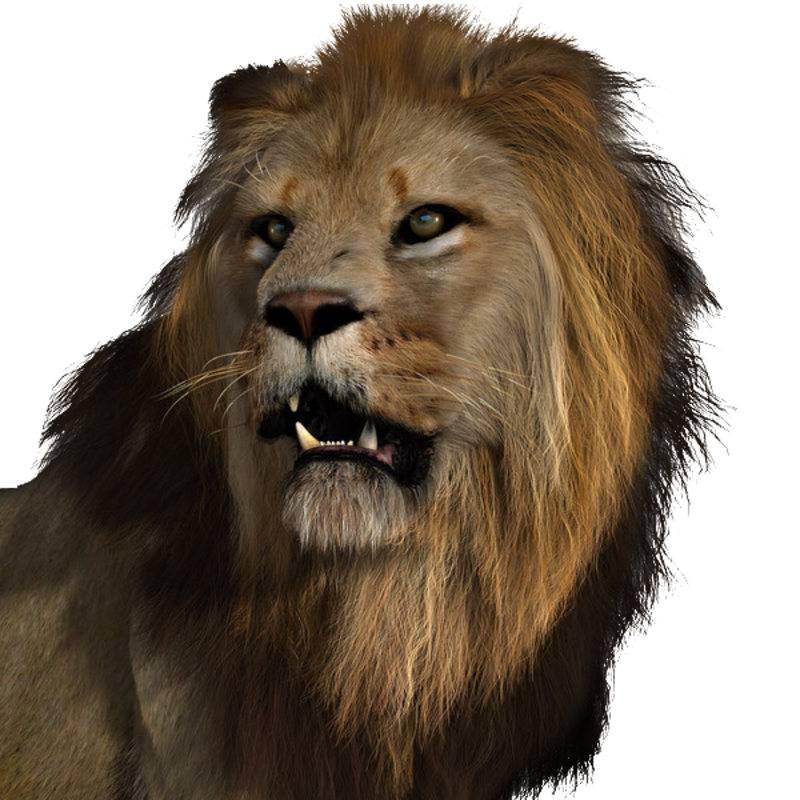 lion-878777676761.png