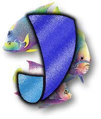 lkd-Ocean-TropicalJ.jpg