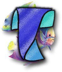 lkd-Ocean-Tropical_T.jpg