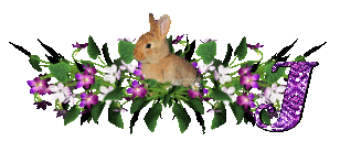 llapin-54545445-10.gif