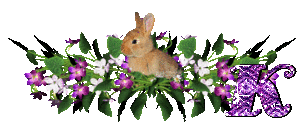llapin-54545445-11.gif