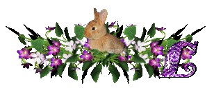 llapin-54545445-12.gif