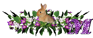 llapin-54545445-13.gif