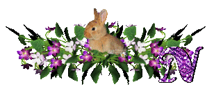 llapin-54545445-14.gif