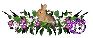 llapin-54545445-15.gif