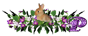 llapin-54545445-16.gif