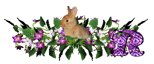 llapin-54545445-18.gif