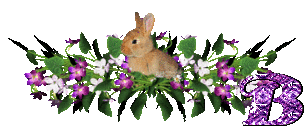 llapin-54545445-2.gif
