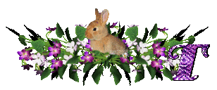 llapin-54545445-20.gif