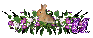 llapin-54545445-21.gif