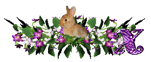 llapin-54545445-24.gif