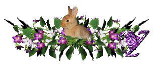 llapin-54545445-25.gif
