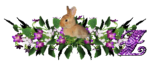 llapin-54545445-26.gif