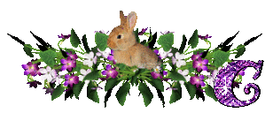 llapin-54545445-3.gif
