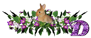 llapin-54545445-4.gif