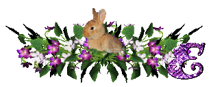 llapin-54545445-5.gif