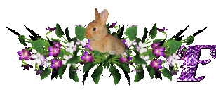 llapin-54545445-6.gif