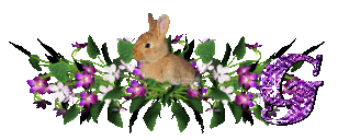 llapin-54545445-7.gif