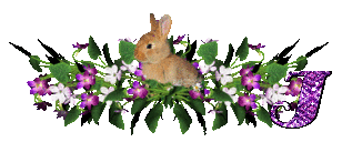 llapin-54545445-9.gif