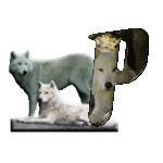 loup-543222-16.gif