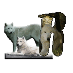 loup-543222-18.gif