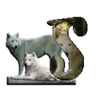 loup-543222-19.gif